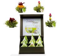 Creano Set Regalo 6 Fiori di Tè Verde "Teelini" - Scatola Magnetica Elegante con Goffratura Argento | 4 Varietà Pregiate di Tè Fiorito - Idea Regalo Natale, Compleanno, Occasioni Speciali