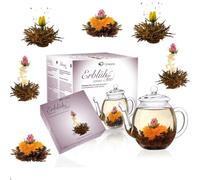 Creano - AbloomTea - Set da regalo con fiori di tè nero e teiera da tè in vetro da 500 ml