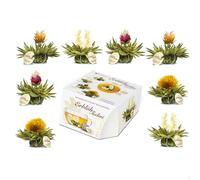 Creano Variazione di fiori di Tè in un formato di Tazza esclusivo „Fiori di Tè Tèlini“ | 8 Fiori di Tè di 4 tipi diversi (Tè bianco)