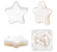 CREATCABIN 1 Scatola 120 Pezzi Perline Stella Bianco Crema Conchiglia d'Acqua Dolce Naturale Perline Sfuse Fili di Perline di Madreperla Perline Distanziali Conchiglia Lucida Completamente 9.5x10x3mm