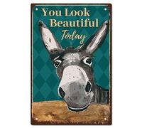 CREATCABIN Asino Vintage Targhe in Metallo You Look Beautiful Today Retro Garage Targhe in Latta Garage Signs Men Decor Accessori per Parete Cucina Coffee Bar Casa Bagno Vintage Sign Regali 20 x 30cm