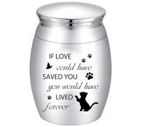 CREATCABIN Mini Urna per Gatti Piccole Urne Ricordo Animale Domestico Cane Gattino Zampa Farfalla Argento Decorativo Memoriale Cremazione Miniatura in Acciaio Inossidabile Sepoltura Funerale 30x40mm