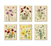 CREATCABIN Wildflower Wall Art Prints Paper Set of 6 Poster Floral Prints Botanical Plant Boho Estetica Moderna per Uomo Donna Camera Home Office Decor Senza Cornice 8x10 Pollici