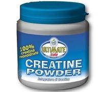 CREATINA POWDER 300 G 1 PEZZO