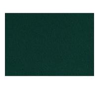 Creativ Company 10-Piece Craft Felt, Dark Green