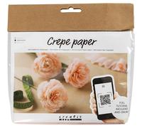 Creativ Company Mini Craft Sets Crepe Paper Floral Carnations - for Crafting Bea