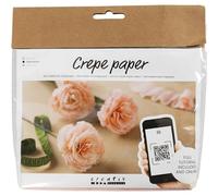 Creativ Company Mini Craft Sets Crepe Paper Floral Carnations - for Crafting Bea