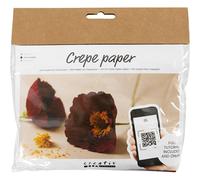Creativ Company Mini Craft Sets Crepe Paper Flowers Poppies - for Crafting Beaut
