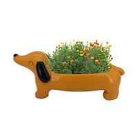 Creative Dachshund Planter: Showcase your personality and taste with thi
