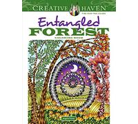 Creative Haven Entangled Forest