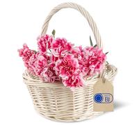 Creative Home Bianco Cestino in Vimini Piccolo con Manico | Cesto Natalizio 22x22x26cm (+/- 2cm) | Cesta Vimini Intrecciato a Mano | Cestino Regalo Portaoggetti | Cesto Nascita Porta Bomboniere Natale