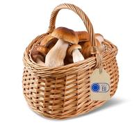 Creative Home Cestino in Vimini con Manico, Cesta Marrone Naturale | Cesto Funghi Picnic | 43 x 33 x 40 cm | Intrecciato Fatto a Mano Durevole | Salice Naturale Marrone Spesso | Multiuso