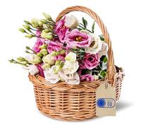 Creative Home Cestino in Vimini Piccolo con Manico | Cesto Pasquale 30x27x24 cm (+/- 1 cm) | Cesta Vimini Intrecciata a Mano | Cestino Regalo Portaoggetti | Cesto Nascita, Porta Bomboniere, Pasqua