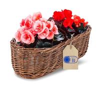 Creative Home Vaso da Fiori in Vimini Scuro 35 x 11 x 11 cm