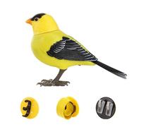Creatività Divertimento Simulato Uccello Voce Piccolo Uccello Elettrico Sensing Giocattolo Per I Bambini E Uccello Chirping Elettronico