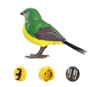 Creatività Divertimento Simulato Voce Uccello Piccolo Uccello Elettrico Giocattolo Di Rilevamento Per I Bambini E Chirping B Elettronico V7n4 Canto