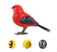 Creatività Divertimento Simulato Voce Uccello Piccolo Uccello Elettrico Sensing Giocattolo Elettronico Per I Bambini E Chirping Canto U