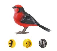 Creatività Divertimento Simulato Voce Uccello Piccolo Uccello Elettrico Sensing Giocattolo Per I Bambini Che Cantano Chirping Elettronico G8v8 B E