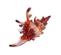 Creativo Conch Charm Forcina per Capelli per le Donne Vacanza Copricapo Tenuta Sicuramente Spiaggia Styling Strumento di Moda Tornante