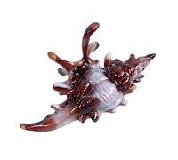 Creativo Conch Charm Forcina per Capelli per le Donne Vacanza Copricapo Tenuta Sicuramente Spiaggia Styling Strumento di Moda Tornante