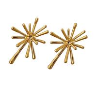 Creativo Fireswork Fireswork Orecchini a perno in metallo Texture Geometrica Orecchio Gioielli Adatto per Donne Eleganti Abbigliamento quotidiano Elegante Floreale Orecchio Accessori, One Size, come