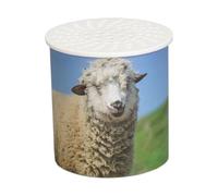 Creatore Di Suoni Di Animali Voce Di Pecora 2,36 Pollici Di Latta In Plastica Con Suono Realistico Invertito Per Bambini Imitazione Del Suono Di Pecora Simulato Per Giochi
