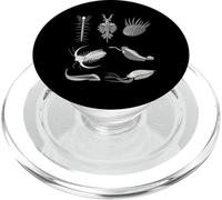 Creature Cambriane Fossil Paleoart Evolution Amante della scienza PopSockets PopGrip per MagSafe