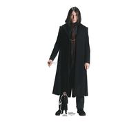 Credence Barebone Il Segreto Di Dumbledore Cartonato - Animali Fantastici