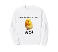 Credimi, Quando Ti Dico No! Citazione d'Arte di Pollo Carino Felpa
