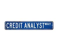 Credit Analyst Cartello stradale regalo per analista di credito professione cartello in alluminio 7,6 x 45,7 cm personalizzato facile da montare targa in metallo targa retrò targa in latta per casa