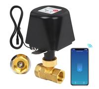 Creechwa Valvola Acqua Smart WiFi in Ottone, Sfera Motorizzata con Timer e App, Alexa/Google Home, per Irrigazione Giardino, Piscina, Serra e Idroponica, 1 Pollice