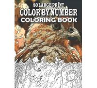 Creekside Lane 80 Large Print Color By Number Coloring Book (Tascabile)