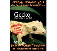 Creepy Crawlie Pets - Wonder Gecko [DVD]
