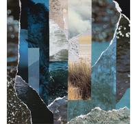 Cremation Lily Dreams Drenched in Static (Vinyl LP) 12" Album