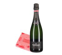 Cremino Massari e Trento Spumante Brut Blanc de Blancs 'Maximum' Ferrari