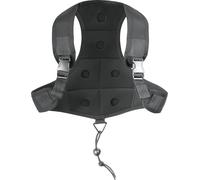 Cressi Gilet Portapesi Backweight - Schienalino Portazavorra, Unisex Adulto, Nero, Taglia unica