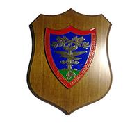 Crest Carabinieri per la tutela forestale, ambientale e agroalimentare Italia 22,5 x 17,5 cm Giemme prodotto ufficiale