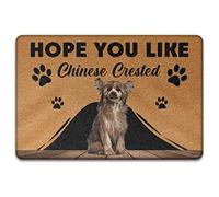 Crestato Cinese, Per Il Regalo Degli Amanti Dei Cani Tappeto Ingresso Casa Confortevole Tappeti D'Ingresso Facile Da Pulire Tappetino Da Bagno Per Terrazzo Camera Letto Balcone 40X60Cm
