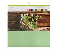 Cricut 12x12 cartoncino x 30,5 cm Shimmer Paper Classic, Carta, Multi-Colour, Felt Summer Sky Sampler (10 Pack), Multicolore, Taglie Unica