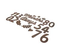 CRILSTYLEO Cartello Calendario Legno Per Ragazzo Ragazza Numeri Pietre Miliari Accessori Foto Resistente Riutilizzabile Compleanno Mese