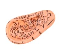 CRILSTYLEO Didattico Dell'orecchio Punto Di Agopuntura Simulato Plastica Realistico Strumento Umano Medicina Laboratorio Pratica Infermieristica Kit Supporto Auricolare