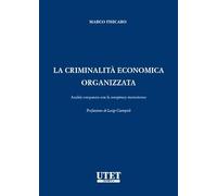 Criminalità economica organizzata