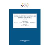 Criminalità transnazionale ed Unione Europea. Ediz. italiana e inglese