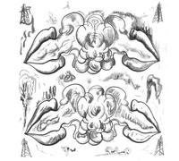 Criminals / Illusions - What Are People For / Notwist (Vinile)