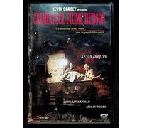 CRIMINI SUL FIUME HUDSON