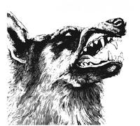 Crippled Black Phoenix I, Vigilante 12" Album