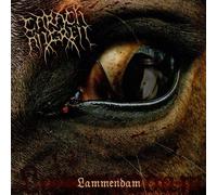 Crippled Black Phoenix Lammendam Ltd. on Orange & Black marbled (Vinyl LP)
