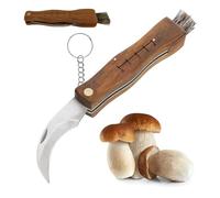 Crisalide® - Coltello per Funghi con Lama in Acciaio Inox, Manico in Legno e Pennello per Pulizia - 21 cm - Ideale per Raccolta Funghi e Attività Outdoor