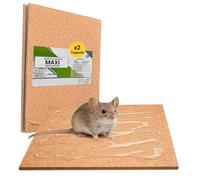 Crisalide® Trappola Adesiva per Topi, Scarafaggi e Geco, 2 Tavole Collanti in MDF Legno, Non Tossica, Senza Veleno, Pronta all’Uso, Made in Italy (28 * 19cm)