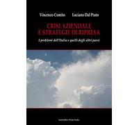Crisi aziendale e strategie di ripresa. I problemi dell'Italia e quelli degli altri paesi